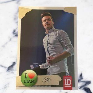 Liam Payne One Direction Official Trading Card #43 Panini Brand 2013